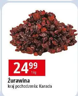 E.Leclerc Żurawina suszona oferta