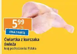 E.Leclerc Ćwiartka z kurczka oferta