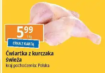 E.Leclerc Ćwiartka z kurczka oferta