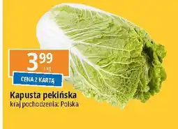 E.Leclerc Kapusta pekińska oferta