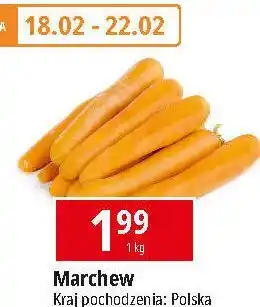 E.Leclerc Marchew oferta