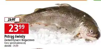 E.Leclerc Pstrąg świeży Zakład Rybacki Bogaczewo oferta