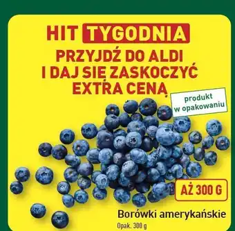 ALDI Borówki amerykańskie oferta