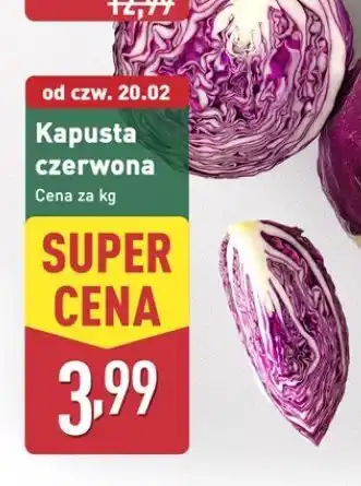 ALDI Kapusta czerwona oferta