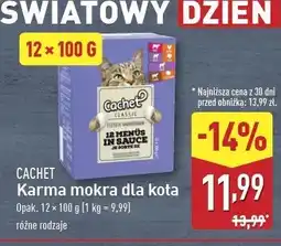 ALDI Karma dla kota mięso w galarecie Cachet oferta