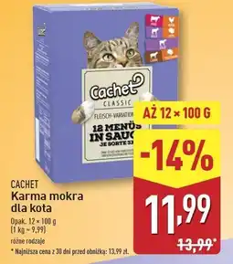 ALDI Karma dla kota mięso w sosie Cachet oferta