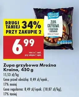 Biedronka Zupa grzybowa z podgrzybkami i borowikami Mroźna Kraina oferta