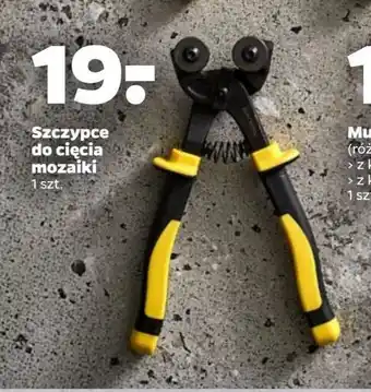 Netto Szczypce do cięcia mozaiki Techliner oferta