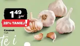 Netto Czosnek oferta