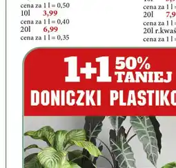 E.Leclerc Doniczka plastikowa oferta