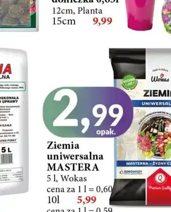 E.Leclerc Ziemia do rośliny kwaśnolubnych Wokas oferta