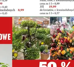 E.Leclerc Kompozycje kwiatowe oferta