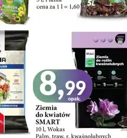 E.Leclerc Ziemia do kwiatów kwaśnolubnych Wokas oferta