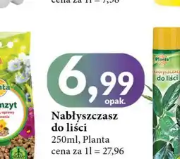 E.Leclerc Nabłyszczacz do liści Planta (Ogrodowe) oferta