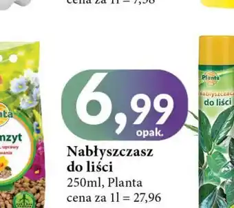 E.Leclerc Nabłyszczacz do liści Planta (Ogrodowe) oferta