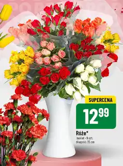 Polomarket Róże oferta