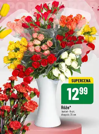 Polomarket Róże oferta