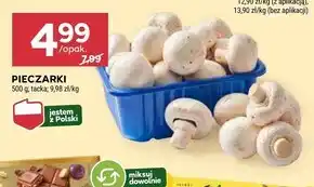 Stokrotka Pieczarki Polski oferta