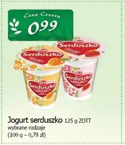 Cezar Delikatesy Jogurt Zott oferta