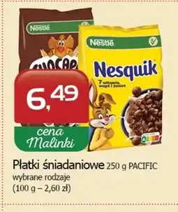 Malinka Market Płatki śniadaniowe Nestle oferta