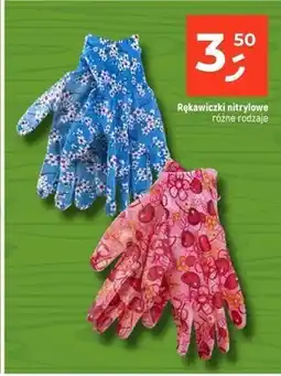 Dealz Rękawiczki oferta