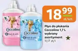 Społem Płyn do płukania Coccolino oferta