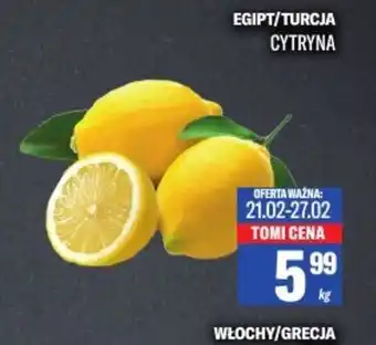 TomiMarkt Cytryna Egipt/Turcja oferta