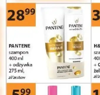 Drogerie Laboo Pantene szampon + odżywka oferta