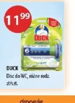 Drogerie Laboo Duck oferta