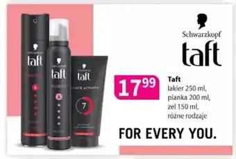 Drogerie Polskie Taft lakier, pianka, żel oferta