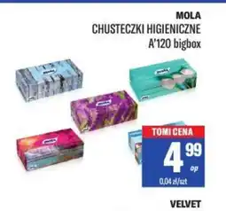 TomiMarkt Chusteczki higieniczne Mola A'120 bigbox oferta