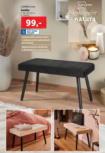 Lidl Livarno home ławka oferta