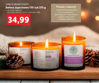 Lidl Farm to aromatherapy świeca zapachowa oferta