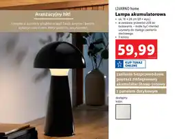 Lidl Livarno home lampa akumulatorowa oferta