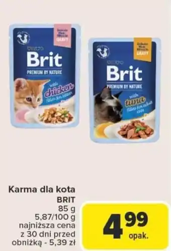 Carrefour Karma dla kota brit oferta