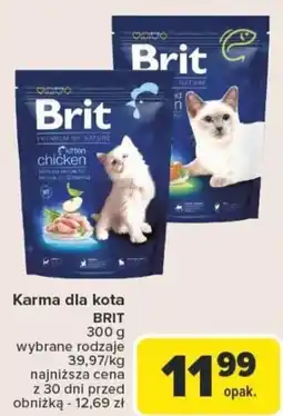 Carrefour Karma dla kota brit oferta