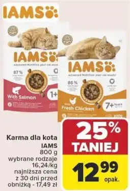 Carrefour Karma dla kota iams oferta