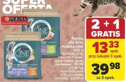 Carrefour Karma dla kota oferta