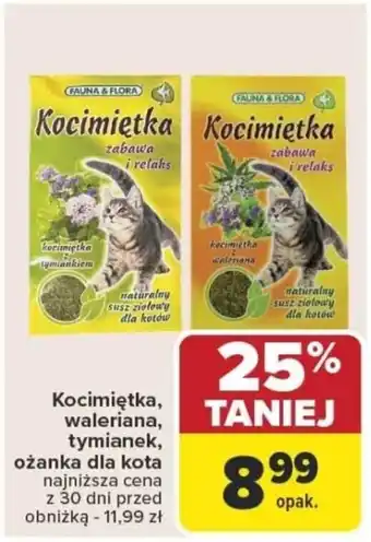 Carrefour Kocimiętka, waleriana, tymianek, ożanka dla kota oferta