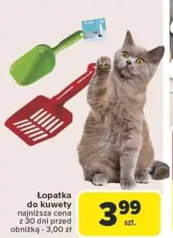 Carrefour Łopatka do kuwety oferta