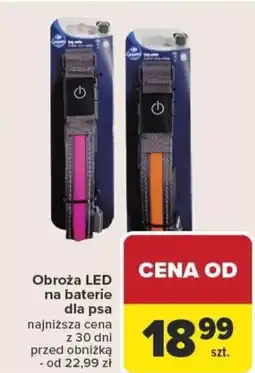 Carrefour Obroża led na baterie dla psa oferta