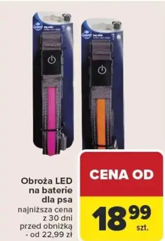 Carrefour Obroża led na baterie dla psa oferta