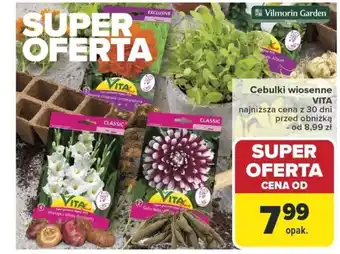 Carrefour Cebulki wiosenne vita oferta