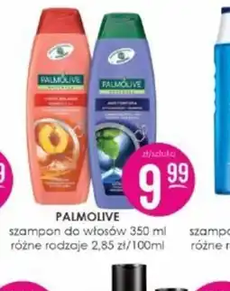 Jaśmin Palmolive Szampon do włosów oferta