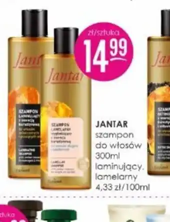 Jaśmin Janjar szampon do włosów oferta