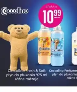 Jaśmin Coccolino płyn do płukania oferta