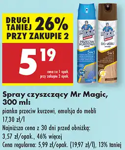 Biedronka Spray czyszczący Mr Magic oferta