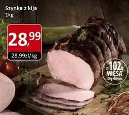 Market Point Szynka z kiją oferta