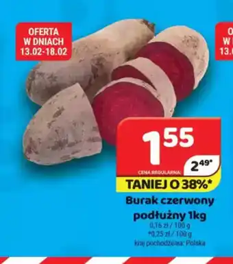 Delfin Burak czerwony podłużny oferta