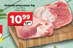 Delfin Golonka wieprzowa oferta